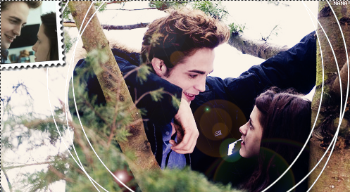Bella a Edward na stromě.png